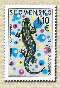 462 - Ochrana prírody - Salamandra škvrnitá
