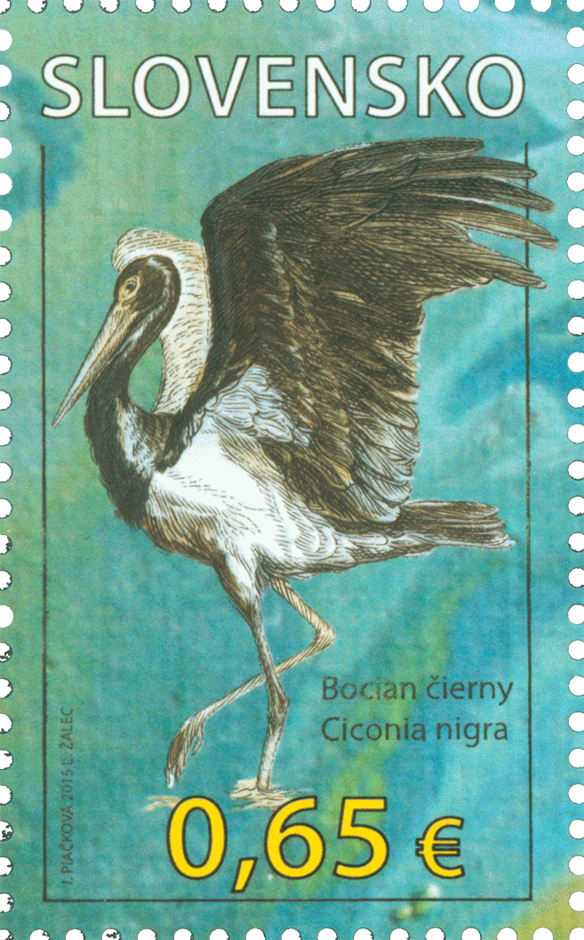 596 - Nature Protection: Protected Landscape Area Poľana – Black Stork