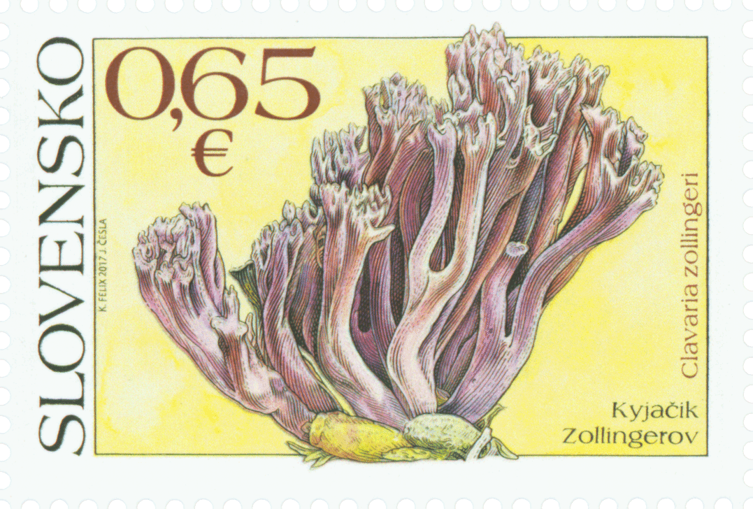 643 - Nature Protection: Clavaria zollingeri