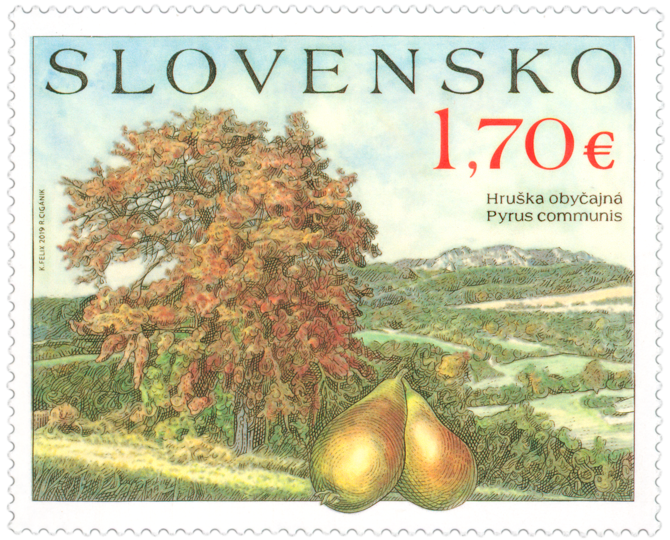 697 - Ochrana prírody: Ovocné stromy – hruška obyčajná <i>(Pyrus communis)</i>