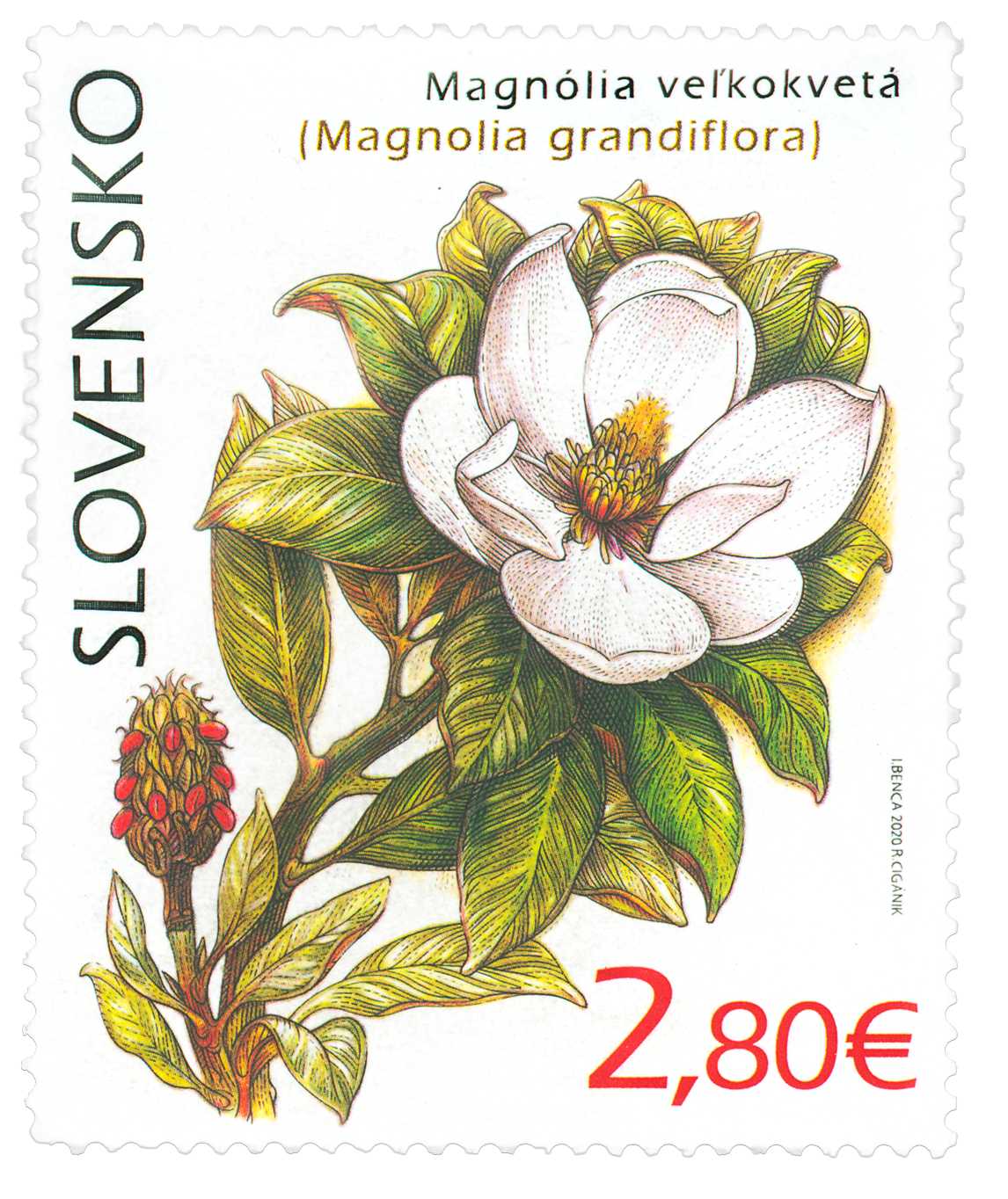 715 - Ochrana prírody: Botanická záhrada UPJŠ v Košiciach – magnólia veľkokvetá