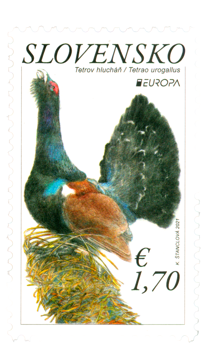 741 - EUROPA 2021: The Western Capercaillie