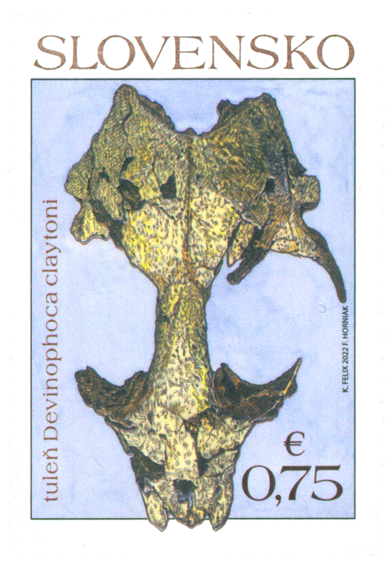 772 - Ochrana prírody: Významné slovenské fosílie – tuleň Devinophoca claytoni