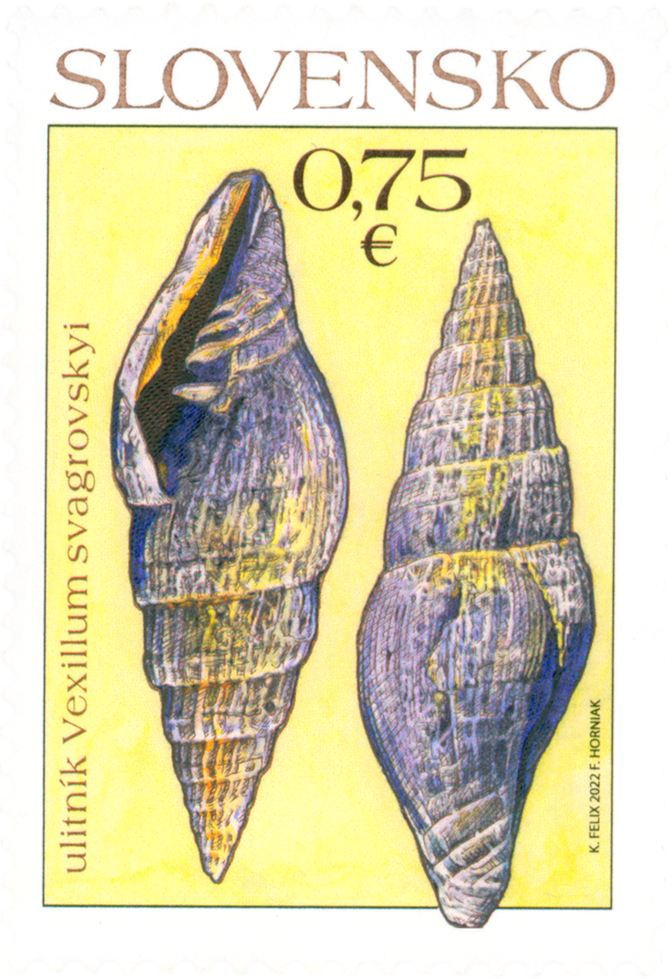 773 - Nature Protection: Important Fossils from Slovakia – Gastropod Vexillum svagrovskyi